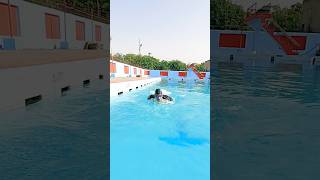 All 4 Swimming Stroke 🏊 Swimming Classes Swimming Tips for Beginners learnswimming swimming [upl. by Miquela]