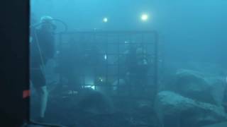 Behind the Scenes  47 Meters Down 1080p 2017 Hd [upl. by Holmes282]