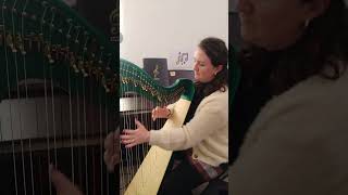 Marguerite Dunne Irish Harpist plays quotThe Glass of Beerquot Reel celticharp irishmusic pilgrimharps [upl. by Hurty999]