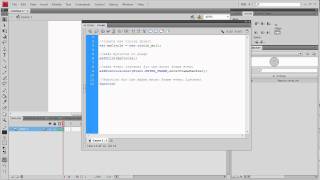 Flash ActionScript 30 Basics [upl. by Nabe615]