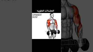 Upper row العضلات العلويه shoulder chest homeworkout fitness gym gymworkout upperbodyworkou [upl. by Orecul545]