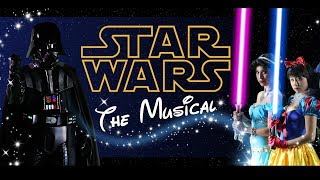 Star Wars Musical Disney Parody  GeorgeShawMusic [upl. by Naujd755]