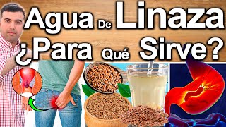 AGUA DE LINAZA EN AYUNAS  ¿Para Qué Sirve La Linaza  Beneficios Para Tu Salud Y Belleza [upl. by Ydac]