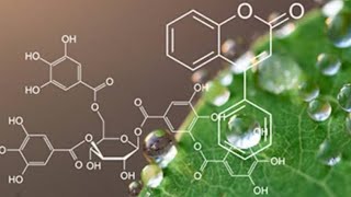 Phytochemistry Carbohydrate lec2 [upl. by Johansen984]