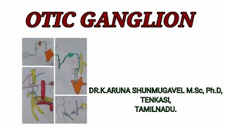 Otic ganglion  Location  Roots  Development  Clinical Anatomy  Animated video [upl. by Zelde431]