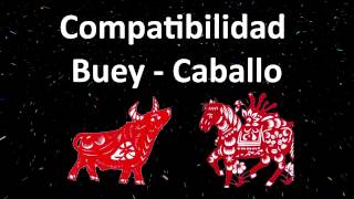 Compatibilidad Buey  Caballo Horóscopo Chino [upl. by Delmar785]