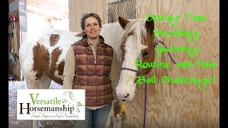 Spring Time Shedding Grooming Routine and Hair Ball Challenge  Versatile Horsemanship [upl. by Leacim6]