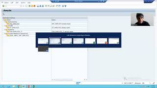 26  Cross Applications  Data Migration Using Business Object Method of LSMW Part2 [upl. by Ranna]