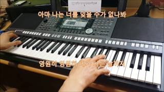 전자올겐 키보드 영영Yamaha PSR S970 [upl. by Hekking]