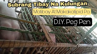 Subrang Tipid Na Pig Pen  DIY Bamboo Gestating Pen  Alagang Baboy [upl. by Glinys291]