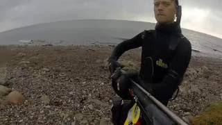 Spearfishing in Denmark  Weekend at Langeland  2016  Uvjagt [upl. by Solrac]