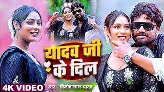 रंगदारी  यादव जी के दिल  Vinod Lal Yadav  Yadav Ji Ke Dil  Bhojpuri Song 2024 [upl. by Vanna]