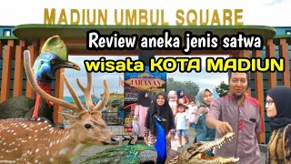 Review aneka jenis satwa di Madiun Umbul Square ‼️ wisata KOTA MADIUN kebun binatang [upl. by Gretna417]