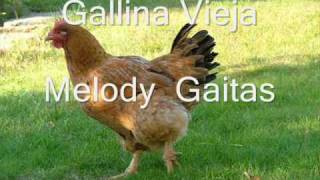 Gallina vieja Melody gaitas 2017 Música Tradicional Venezolana La mejor gaita de Venezuela [upl. by Ethbin]