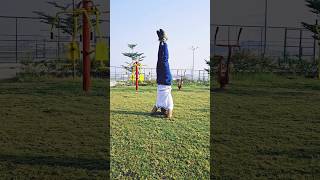 How to do headstand shirashana and its benefits 🌿 headstand yogabalance yogadaily yogalife [upl. by Yung292]