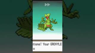 Grovyle is evolving Pokemon heartgoldPkmn worldpokemon sceptile pkmnworld pokemonevolution [upl. by Alaikim716]