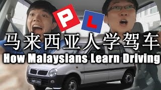 马来西亚人学驾车 How Malaysians Learn Driving [upl. by Fosdick]