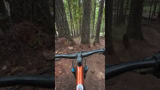 Devils Gulch Valemount mtb ridingtrees falllineriding [upl. by Nyladnek712]