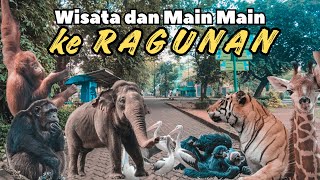 Wisata ke Taman Margasatwa Ragunan di 2024 [upl. by Lerner]