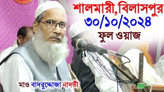 30102024 salmari Bilaspur Full WazMaulana Badruddoja Nadvi [upl. by Gavini]