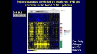 Interferon in Systemic Lupus Friend or Foe [upl. by Birk]