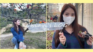 Chiayi’s LOG EP 08  힐링타임 🌵🍲 [upl. by Rosse83]