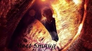 Bilbo meets Smaug in The Hobbit The Desolation of Smaugspoilers [upl. by Graniah463]