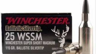 Winchester Supreme PDX Elite WSSM [upl. by Waldron817]