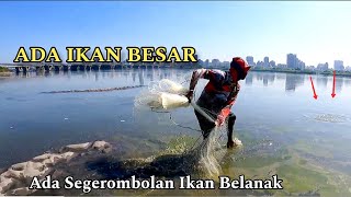 Segerombolan Ikan Pada Di Pinggiran Jala Ikan Belanak Di Muara [upl. by Kind]