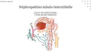 Néphropathie tubulointerstitielle chronique quotNTICquot nephro [upl. by Hillell667]