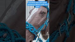 Carribean blue bitless bridle and reins bitless bitlessbridle horsegirl equestriangirl [upl. by Yedrahs580]