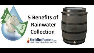 5 Benefits of Harvesting Rainwater For Everyday Uses [upl. by Norword]