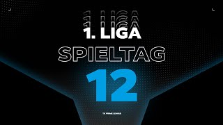 1Liga  Spieltag 12  Spring Split 2024  TK PRM [upl. by Patterman366]