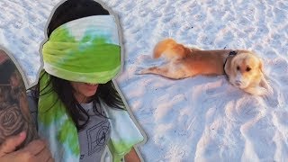 LEVEI MEU CACHORRO E MINHA NAMORADA NA PRAIA [upl. by Ayikal]