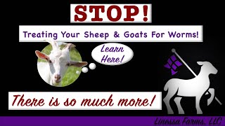 Stop Worming Your Sheep and Goats Start Treating Sheep and Goats for Parasites [upl. by Kohler440]