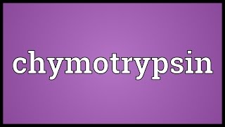 Chymotrypsin Meaning [upl. by Annaohj418]