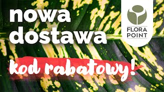 🌼 Kalendarzowa wiosna i kod rabatowy  przegląd roślinnych nowości  Flora Point [upl. by Haridan]