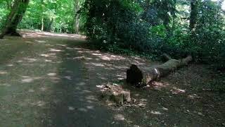 Highgate Wood London Part 3 7 of May [upl. by Anrim643]