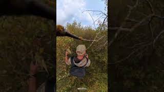 Setting up trail cams hunting trailcam bushnell vortex cabelas eppic viral meateater camo [upl. by Naman740]