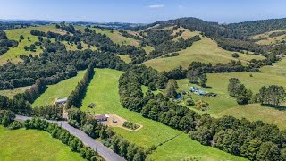 Drive Matakana Valley Road Scenery North Island 🇳🇿 New Zealand [upl. by Aloivaf]