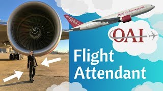 Omni Air International Flight Attendant review interview amp training [upl. by Endys208]