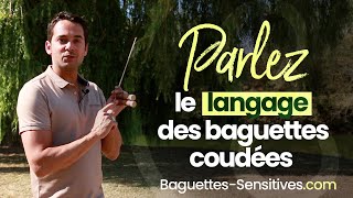 Comment parler le LANGAGE des baguettes coudées de sourcier  Mettre en place des CONVENTIONS [upl. by Linea]