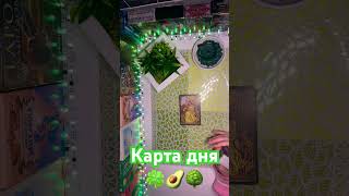 Карта дня🍀🥑🌳 [upl. by Arbas]