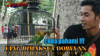 PENGERTIAN DOBELAN PADA LOVEBIRD [upl. by Nivrek]