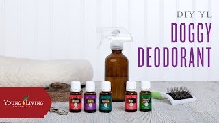 DIY Essential Oil Doggy Deodorant Young Living Essential Oils [upl. by Belayneh]