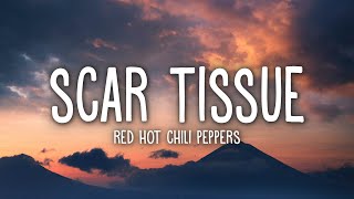 Red Hot Chili Peppers  Scar Tissue Lyrics [upl. by Robinet303]