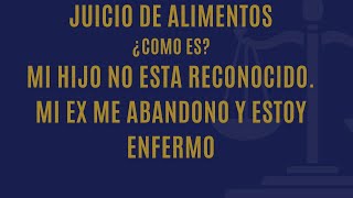 JUICIO DE ALIMENTOS¿Quienes estan obligados Responsabilidad ParentalDiferentes hipotesis [upl. by Atirres766]