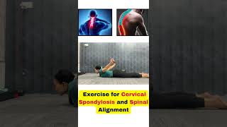 Effective Cervical Spondylosis Exercise for Perfect Spinal Alignment ytshorts youtubeshorts yoga [upl. by Viv]