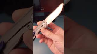 Kansept Mini Accipiter timascus edc knife [upl. by Kcirnek]