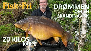 DRØMMEN OM EN SKANDINAVISK 20 KILOS KARPE [upl. by Flem]